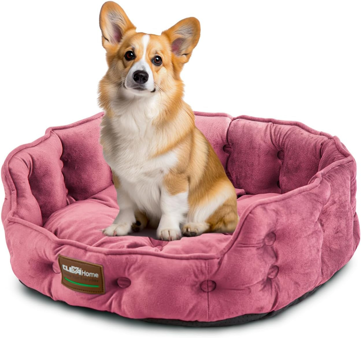 home Cat Dog Bed for Small Pets up to 15Lbs - round Cat Beds for Indoor Cats, Machine Washable Comfortable Pet Bed for Puppy and Kitten with Non-Slip Bottom (Plum Pink)