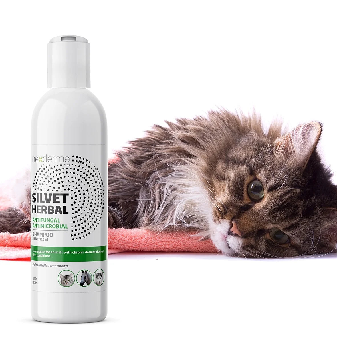 Antibacterial Antifungal Medicated Herbal Pet Shampoo for Dogs, Cats and Horses - 4 Ounce