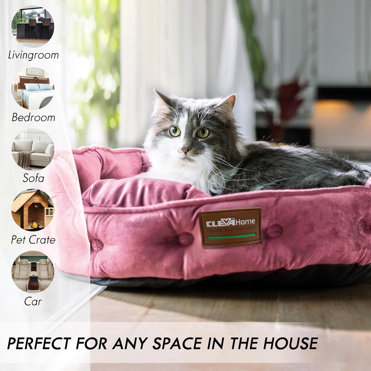 home Cat Dog Bed for Small Pets up to 15Lbs - round Cat Beds for Indoor Cats, Machine Washable Comfortable Pet Bed for Puppy and Kitten with Non-Slip Bottom (Plum Pink)